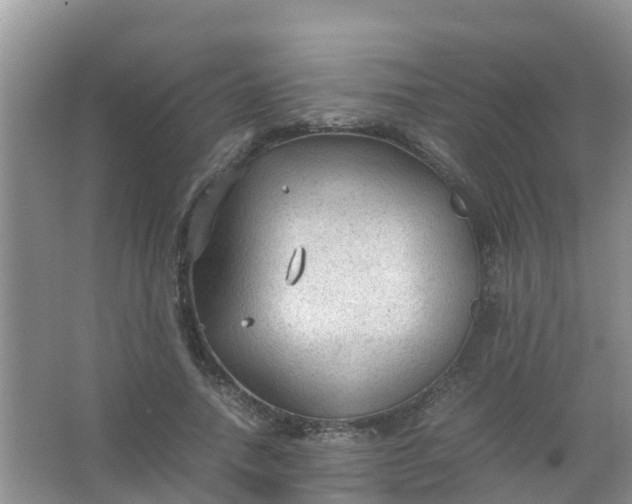 X0000066940738200604071912