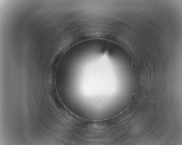 X0000066940739200604071912