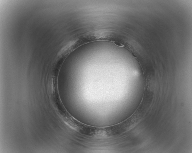 X0000066940740200604071912