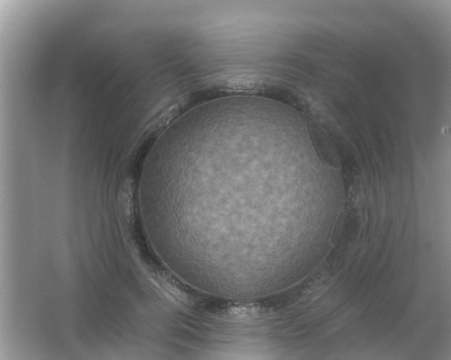 X0000066940744200604071912