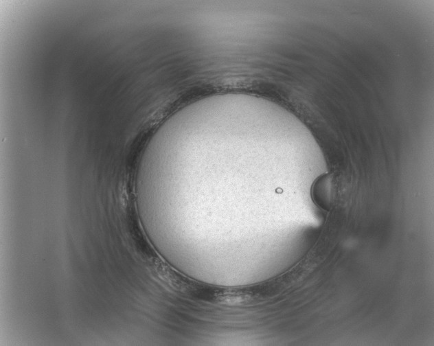 X0000066940746200604071912