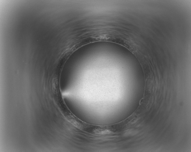 X0000066940747200604071912