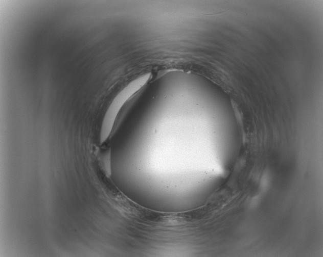 X0000066940750200604071912