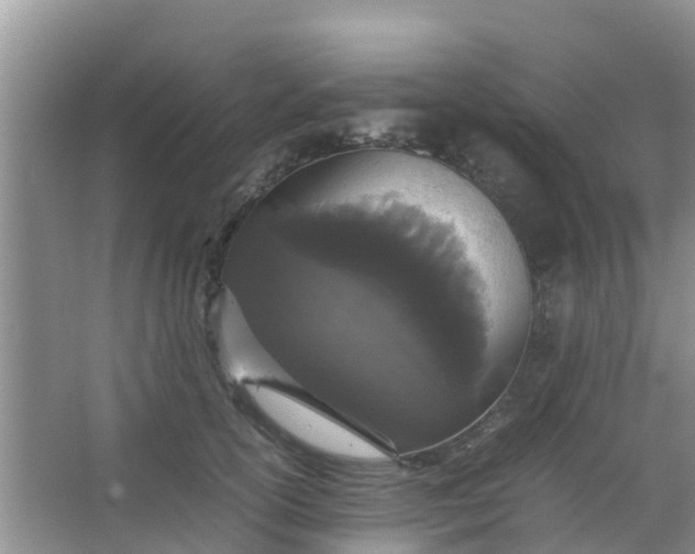 X0000066940754200604071912