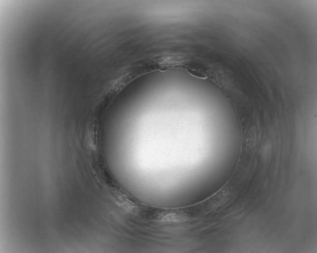 X0000066940755200604071912