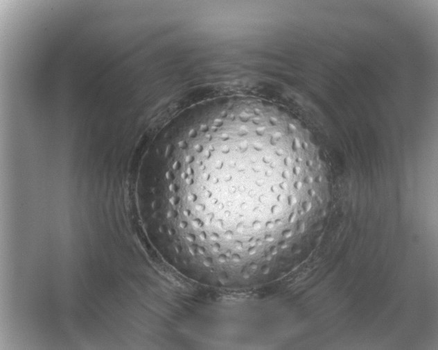 X0000066940757200604071912