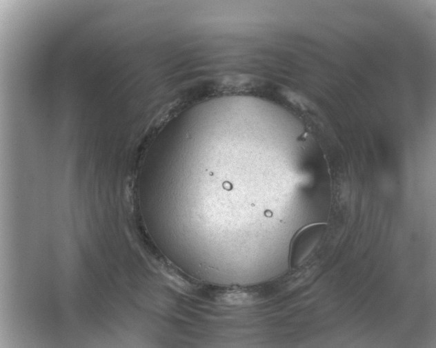 X0000066940759200604071912