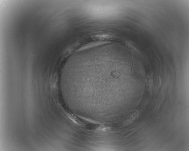 X0000066940760200604071912