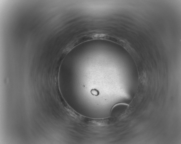 X0000066940763200604071912