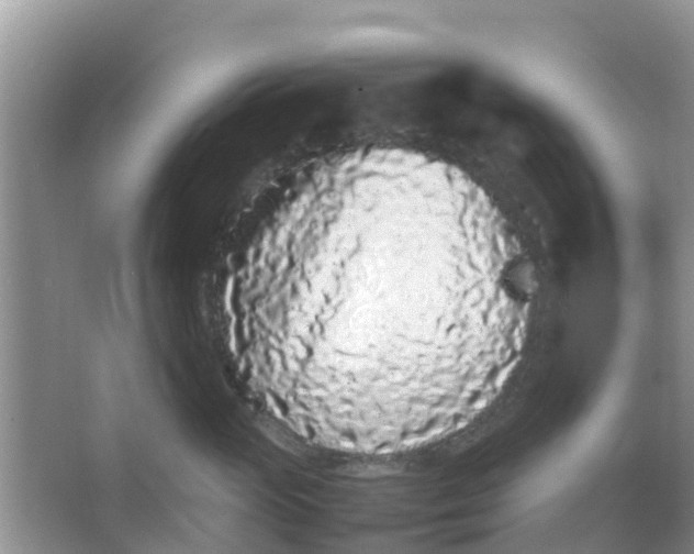 X0000066940765200604071912