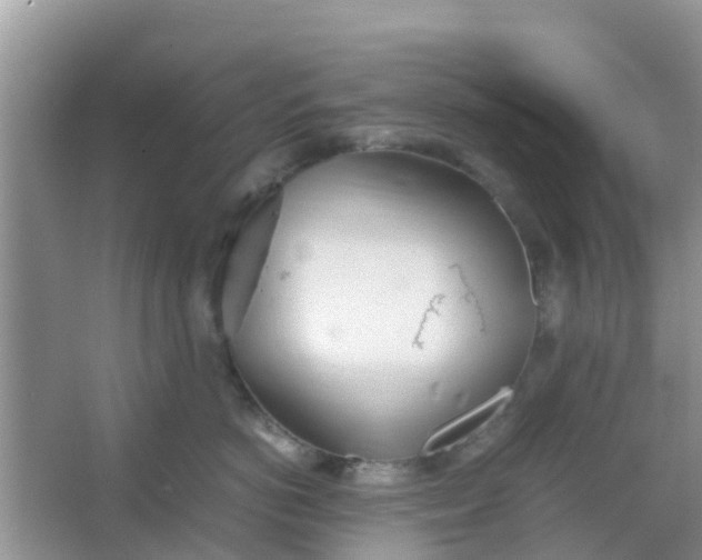 X0000066940766200604071912