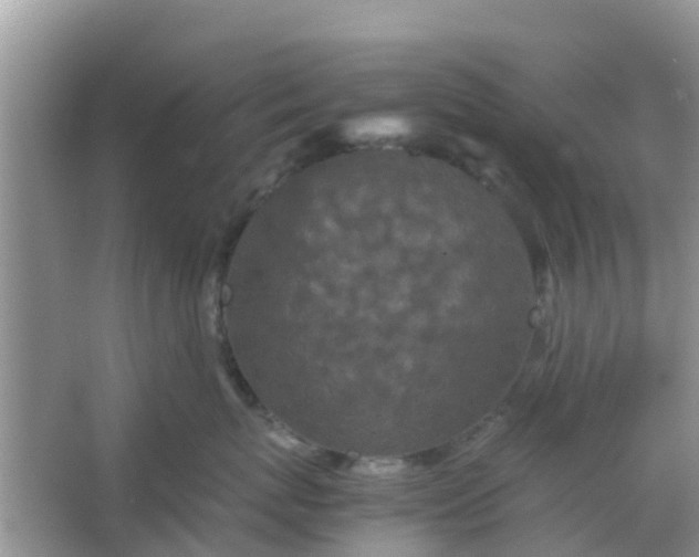 X0000066940767200604071912