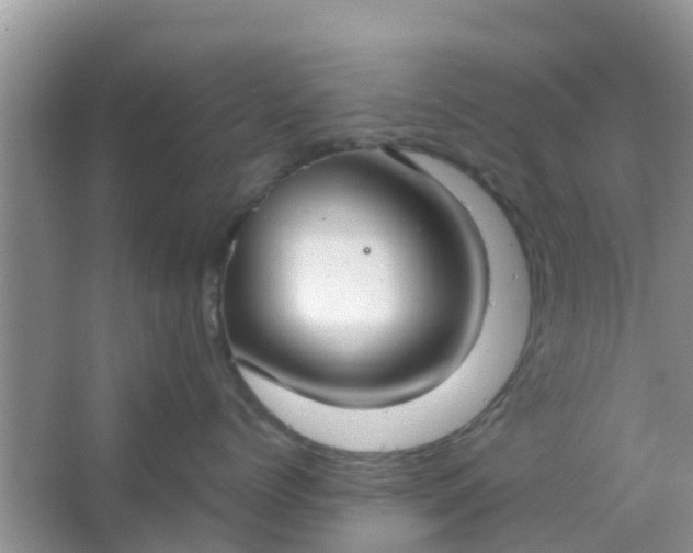 X0000066940768200604071912