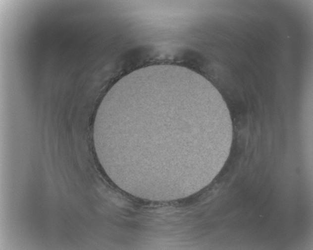 X0000066940769200604071911