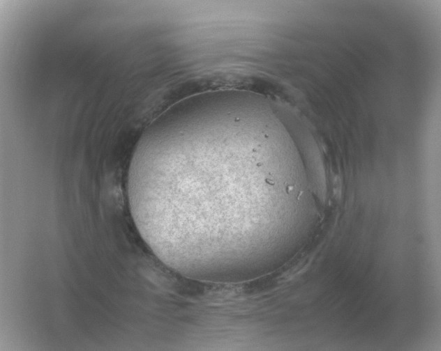 X0000066940771200604071911