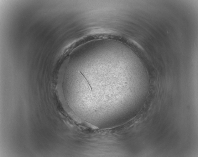 X0000066940775200604071911