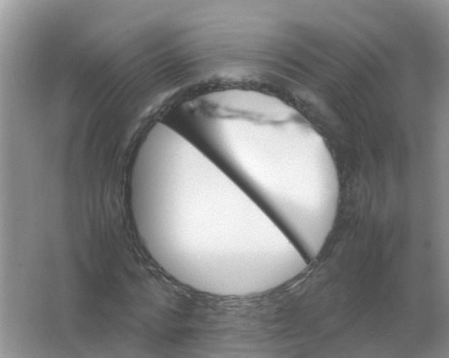 X0000066940776200604071911