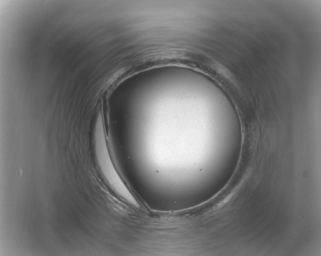 X0000066940777200604071911