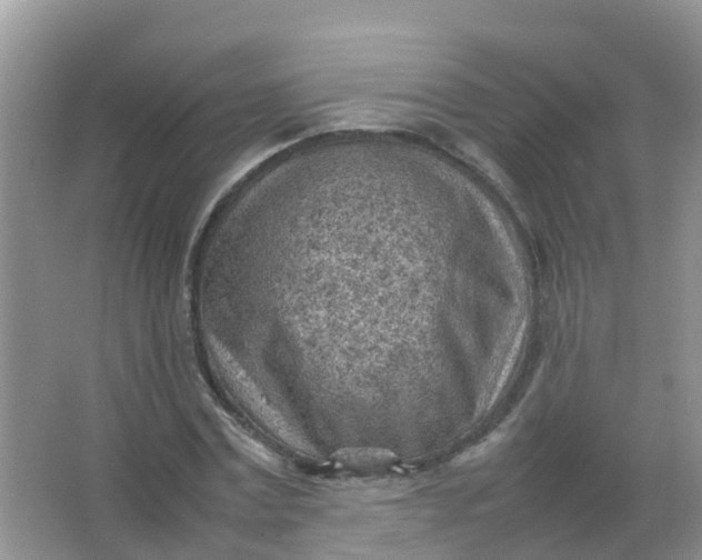 X0000066940779200604071911