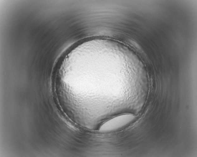 X0000066940780200604071911