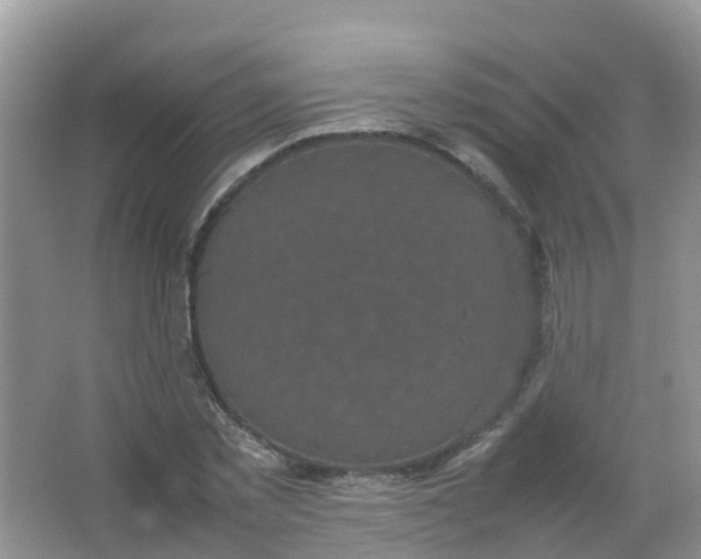 X0000066940781200604071911