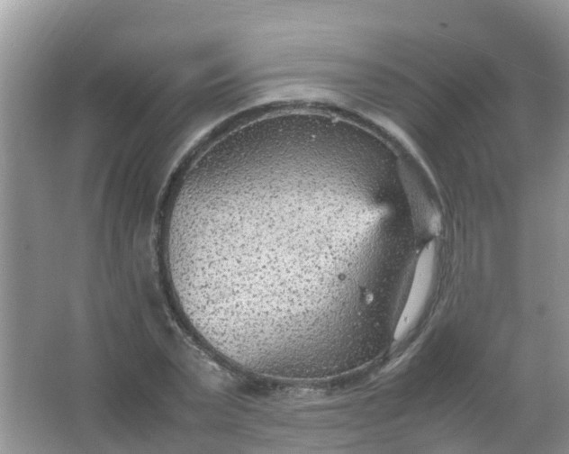 X0000066940783200604071911