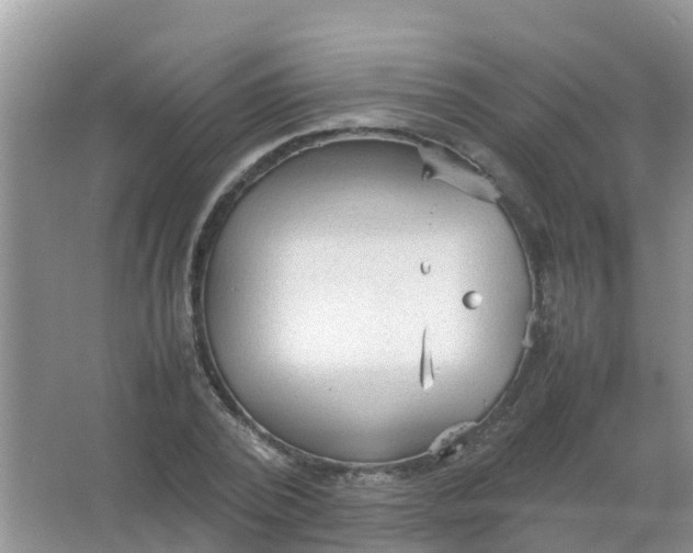 X0000066940784200604071911