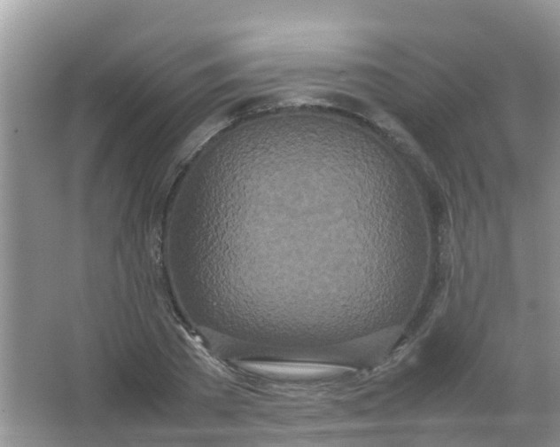 X0000066940785200604071911