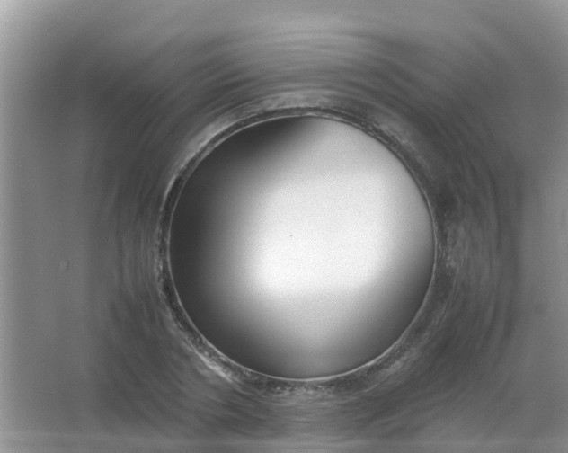 X0000066940786200604071911