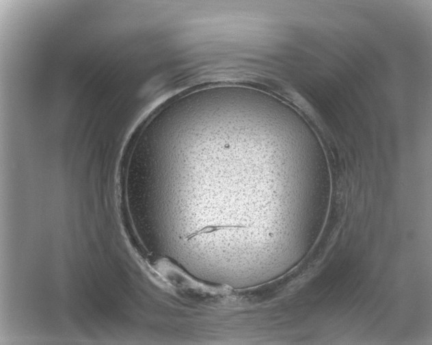 X0000066940787200604071911