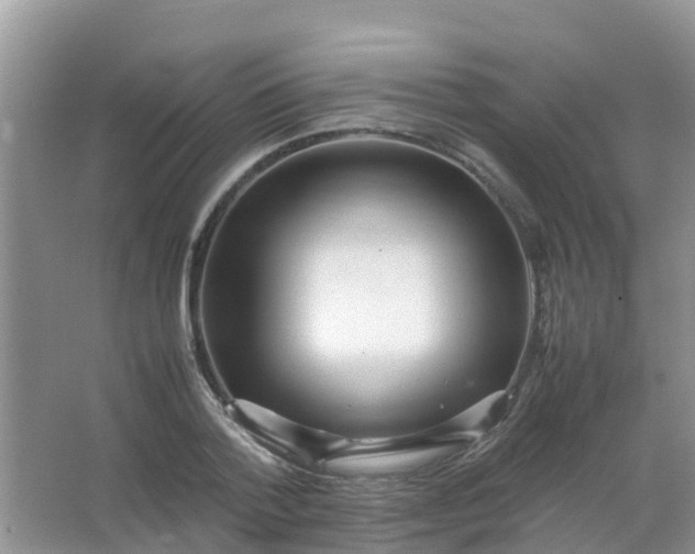 X0000066940788200604071911