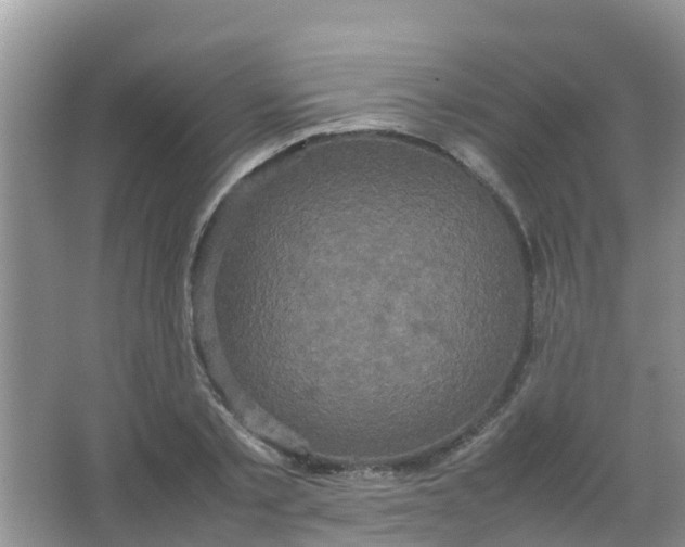 X0000066940789200604071911