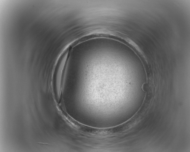 X0000066940791200604071911