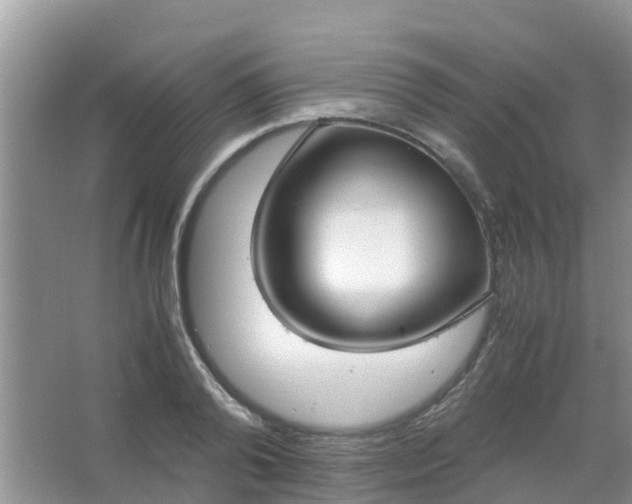 X0000066940792200604071911