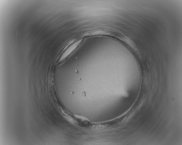 X0000066940793200604071911