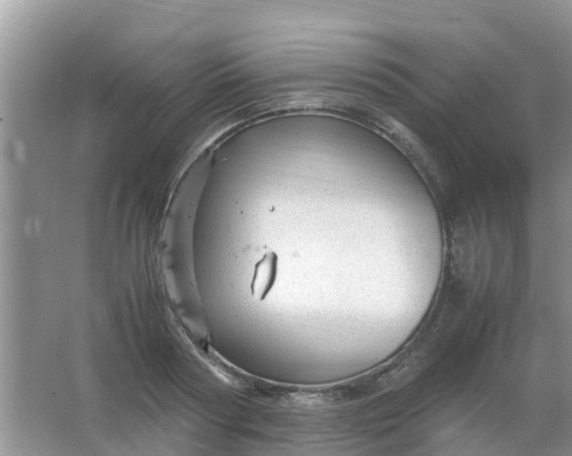 X0000066940794200604071911