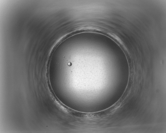 X0000066940799200604071911