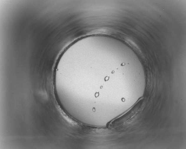 X0000066940800200604071911