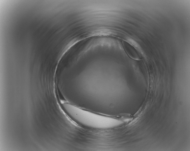 X0000066940802200604071911