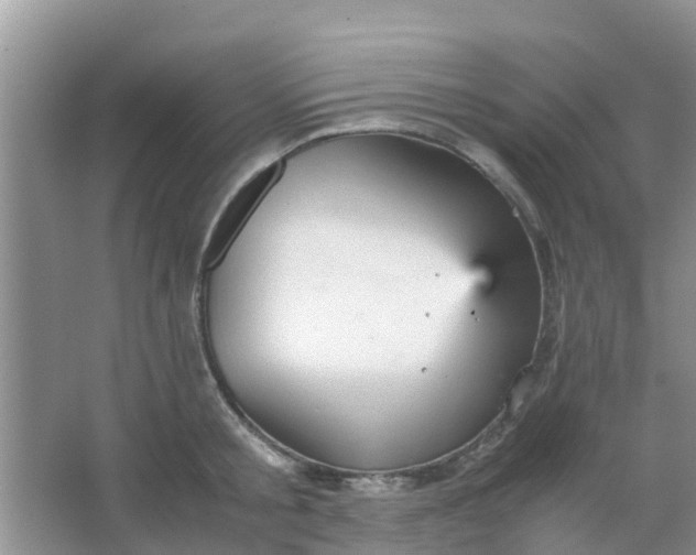 X0000066940805200604071911