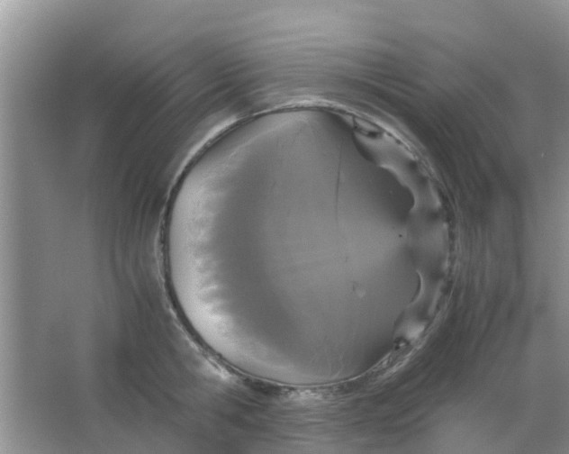 X0000066940806200604071911