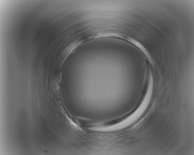 X0000066940809200604071911