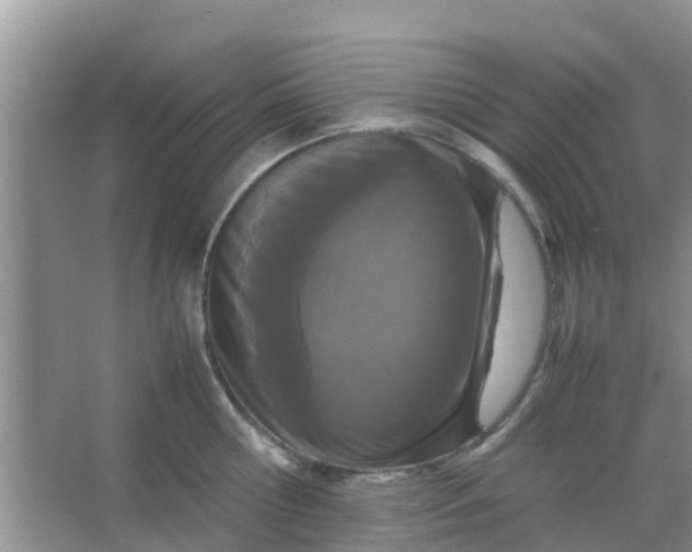 X0000066940810200604071911