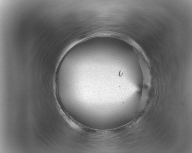 X0000066940811200604071911