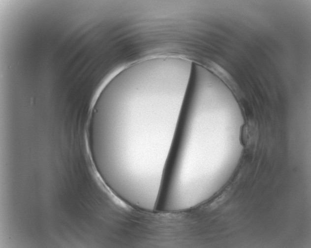 X0000066940812200604071911