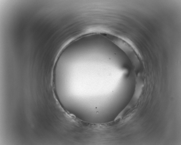 X0000066940815200604071910