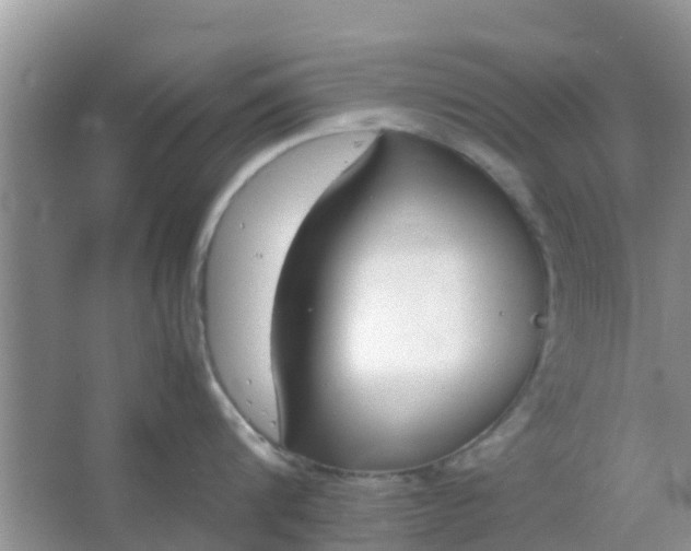 X0000066940816200604071910