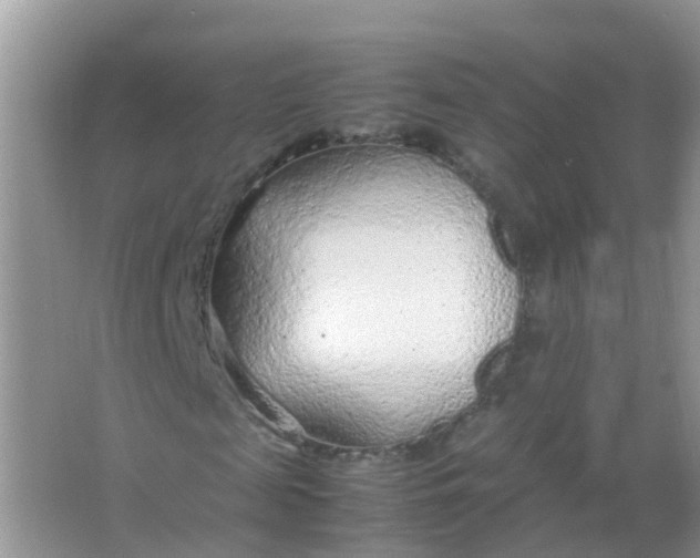 X0000066940817200604071910