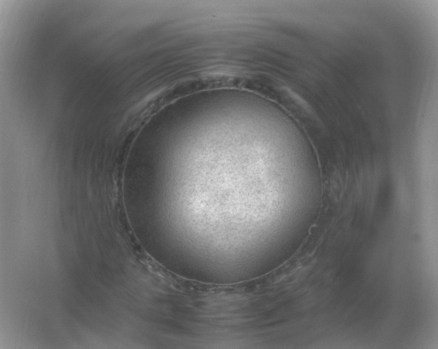 X0000066940821200604071910