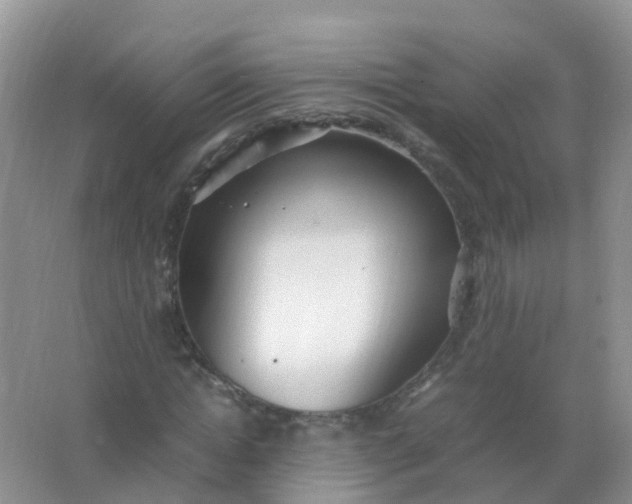 X0000066940822200604071910